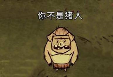 图片在来的路上迷路了