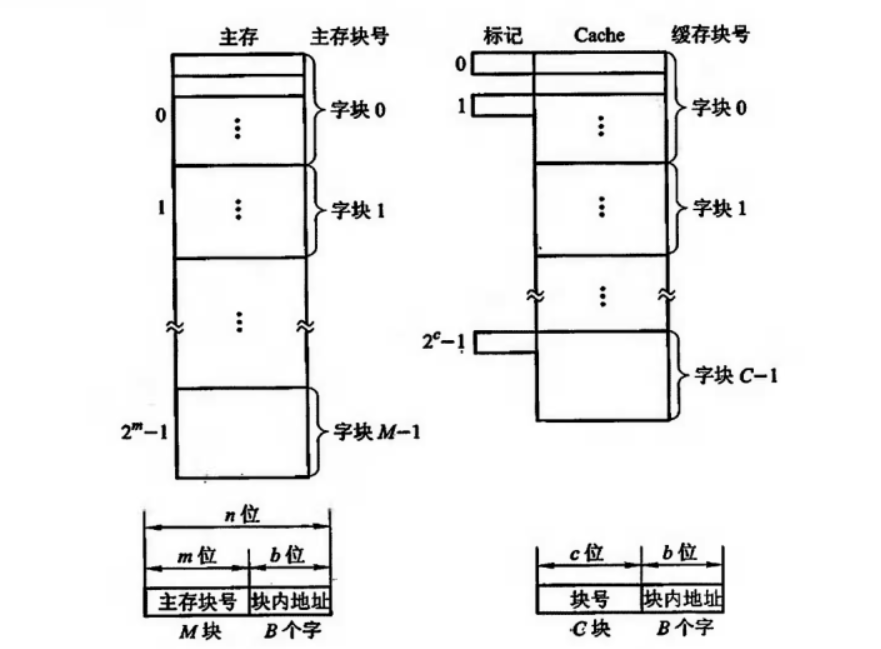 高速缓存的结构