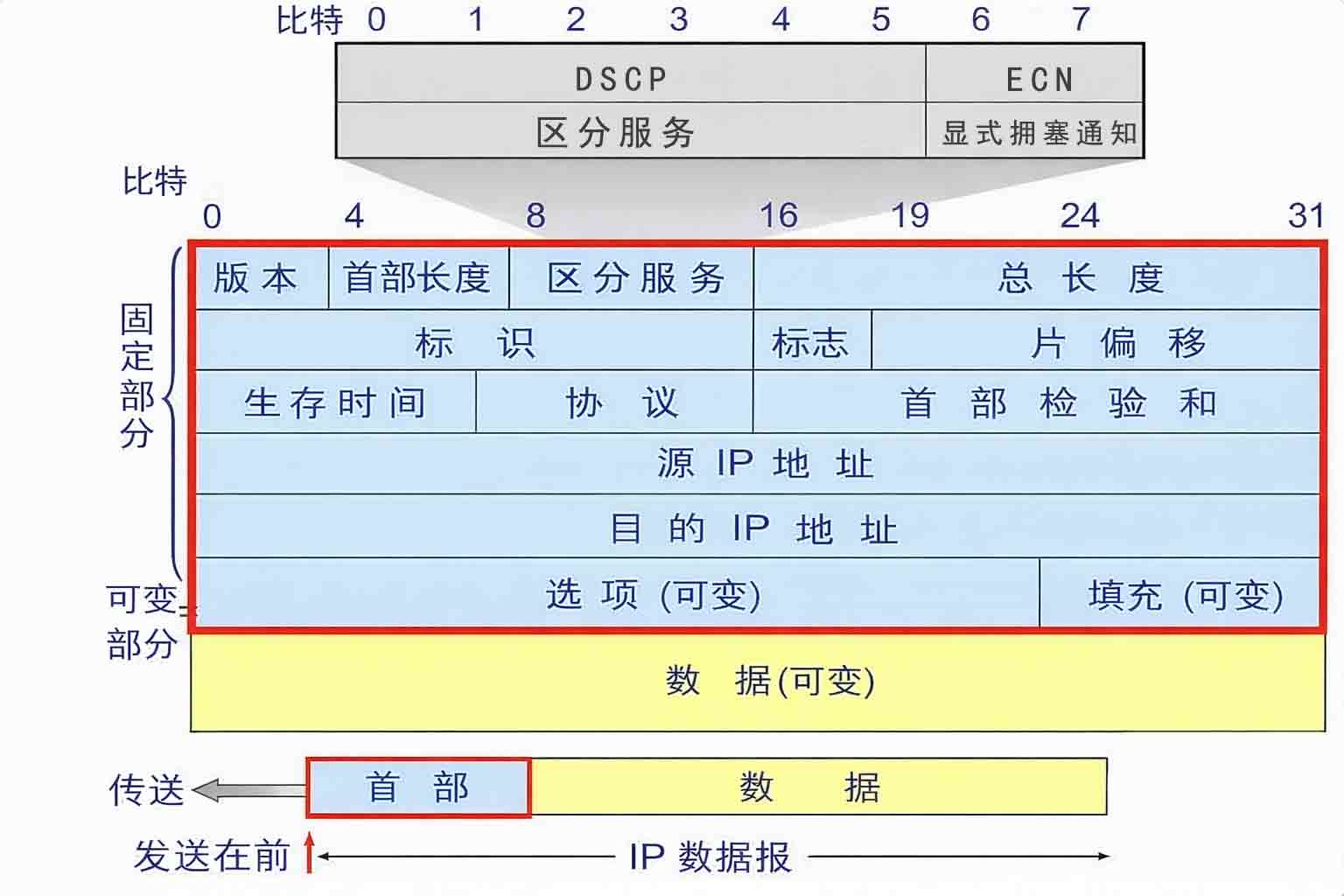 IP数据报