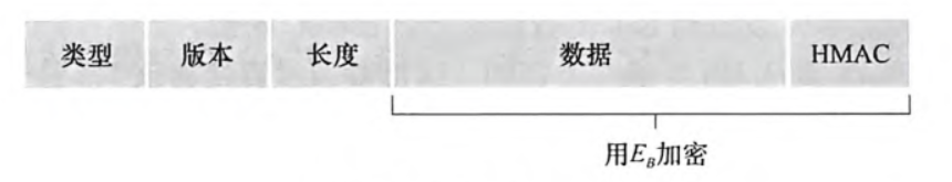 TLS记录