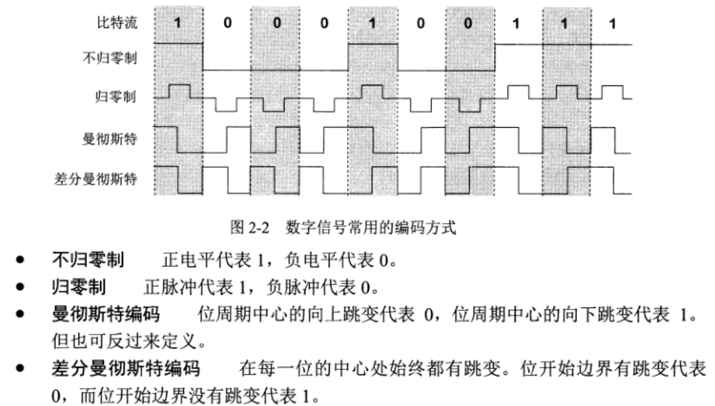 编码